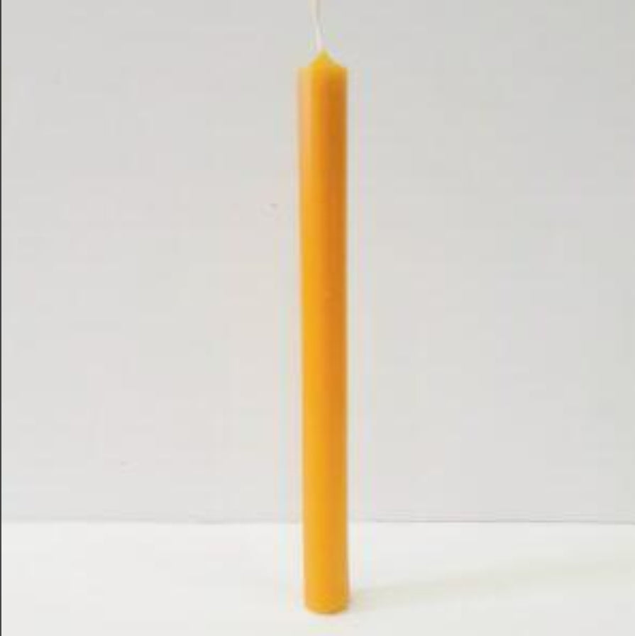 candela in cera d'api di 25 cm cilindrica